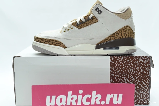 9353 379 StreetReady Jordan 3 CT8532- “Palomino” Air 0902